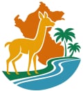 Vicuña_au_bord_du_fleuve